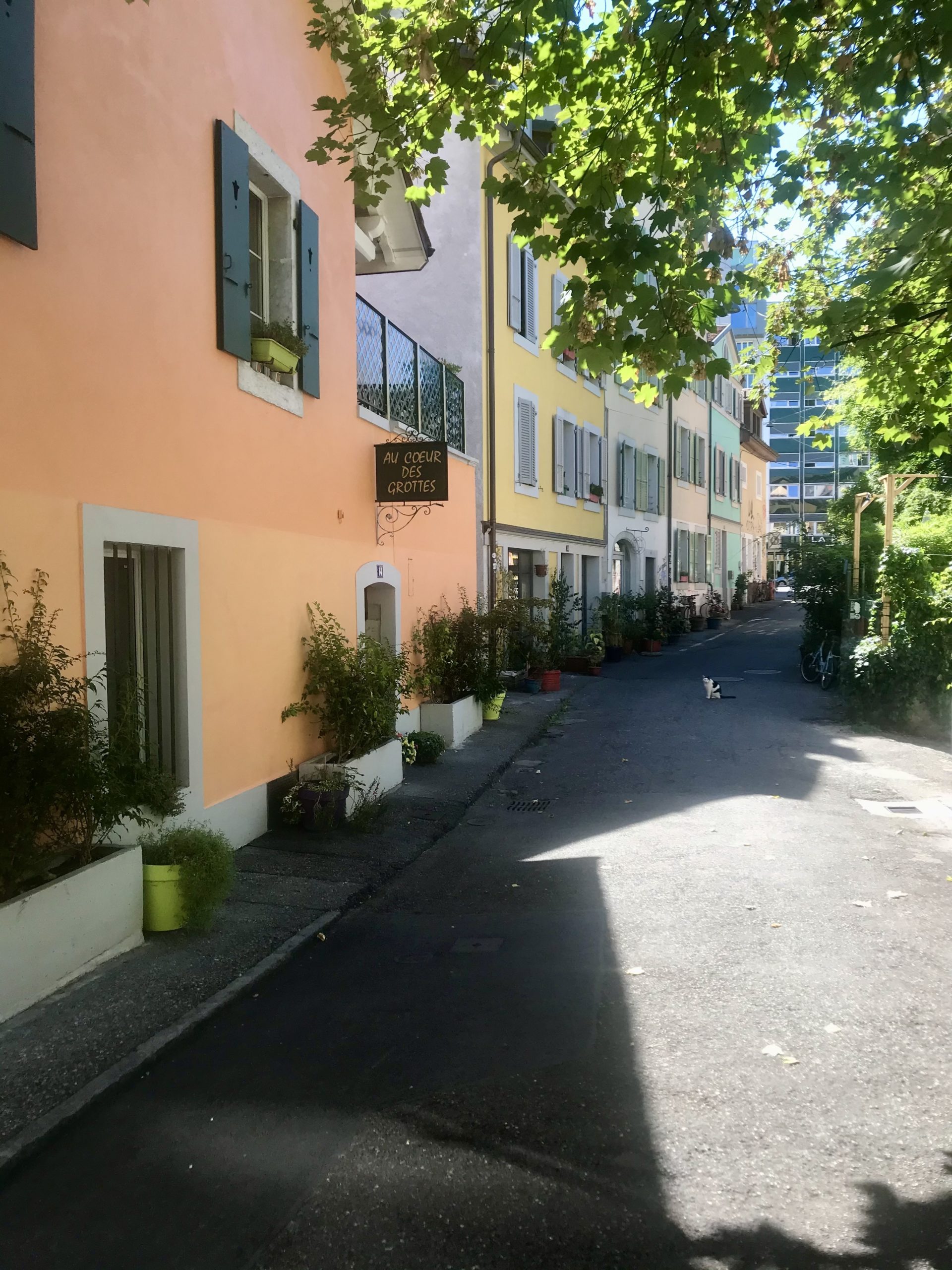 ile-rousseau-coucher-soleil