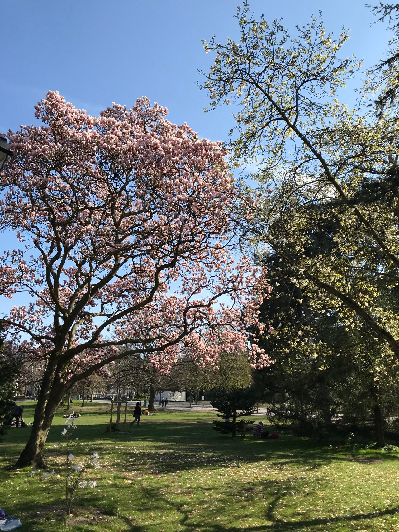 ile-rousseau-coucher-soleil